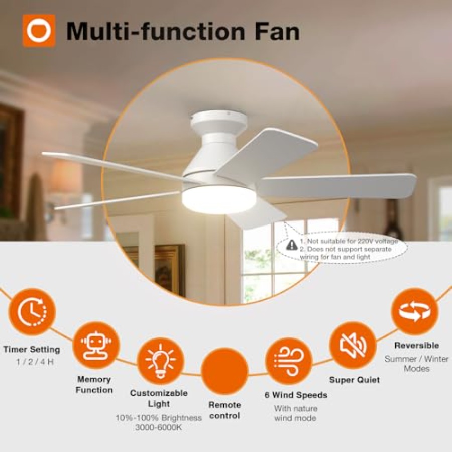 Bedroom indoor/outdoor ceiling - Ceiling Fan Mount 리뷰 및 가격