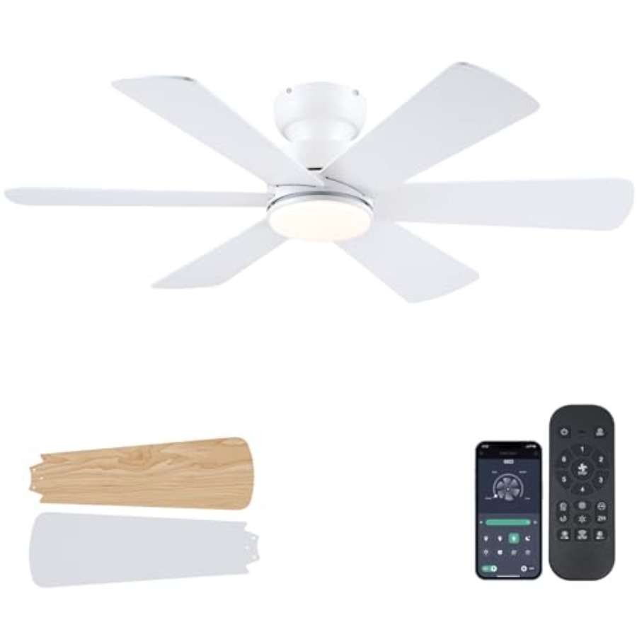 Ceiling Fans with Lights, Ceil - Ceiling Fan Mount 리뷰 및 가격