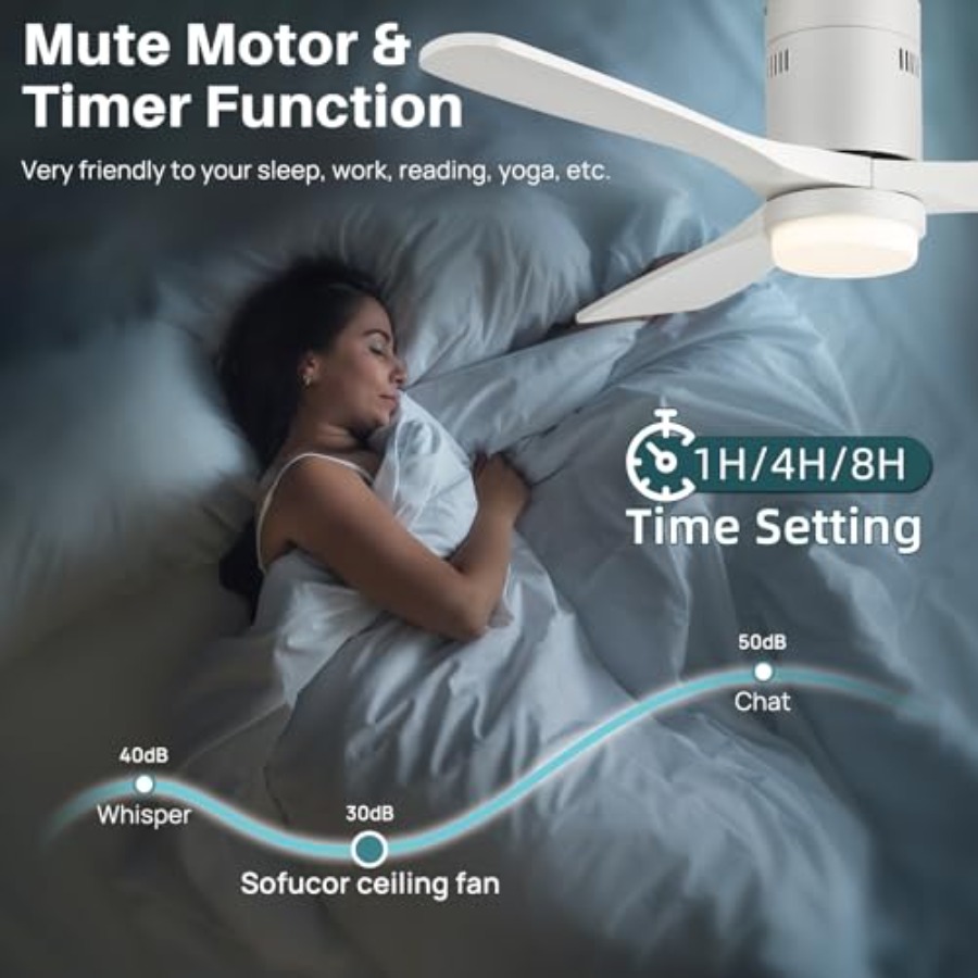 52 Inch Smart Ceiling Fan with - Ceiling Fan Mount 리뷰 및 가격